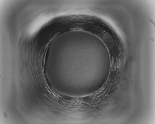 X0000098000099200803241351