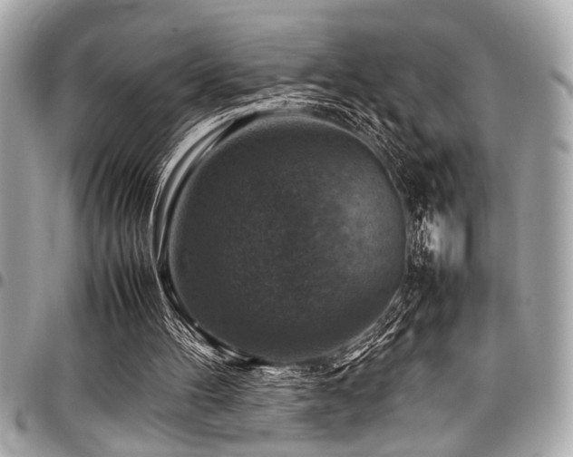 X0000098000100200803241351