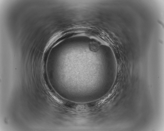 X0000098000101200803241351