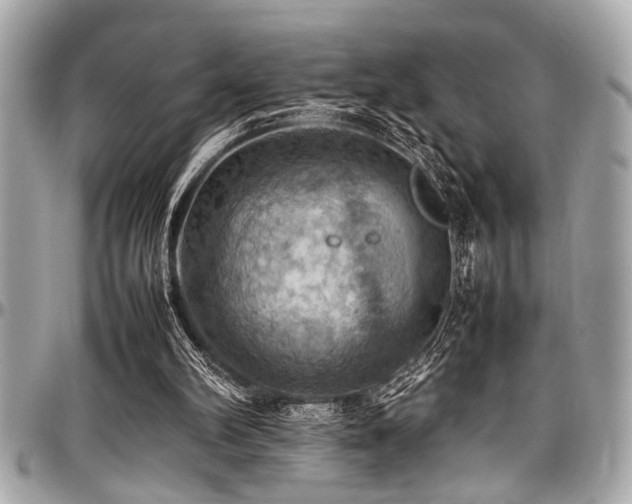 X0000098000102200803241351