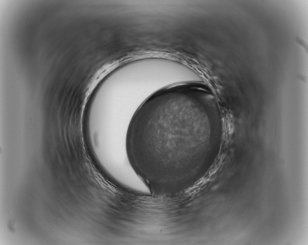X0000098000104200803241351