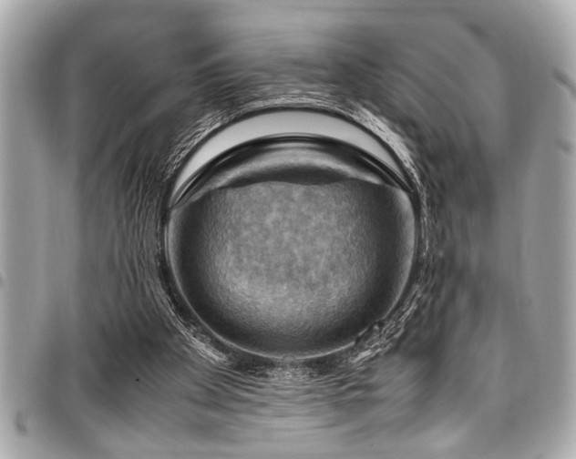 X0000098000105200803241350