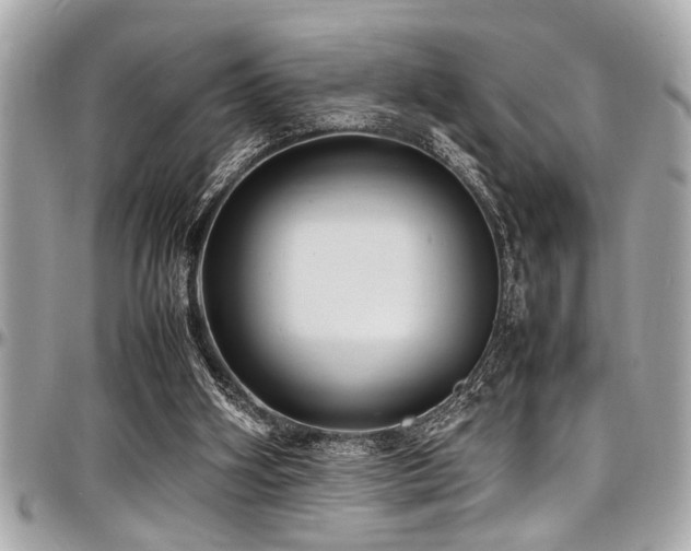 X0000098000106200803241350