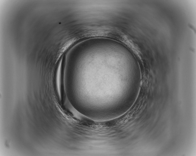 X0000098000107200803241350