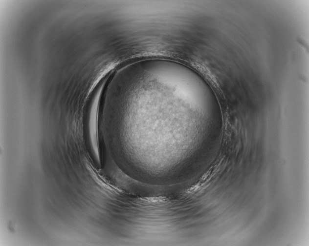 X0000098000108200803241350
