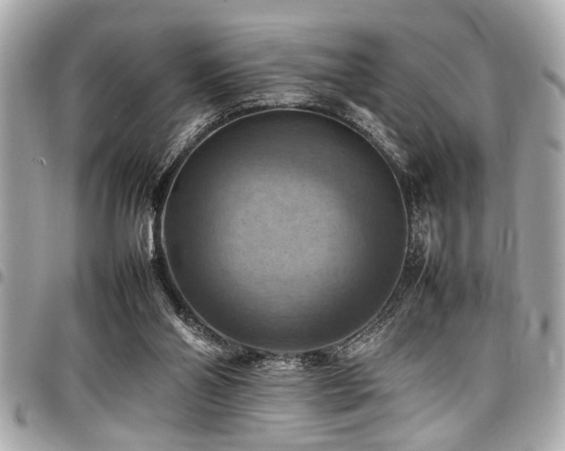 X0000098000110200803241350