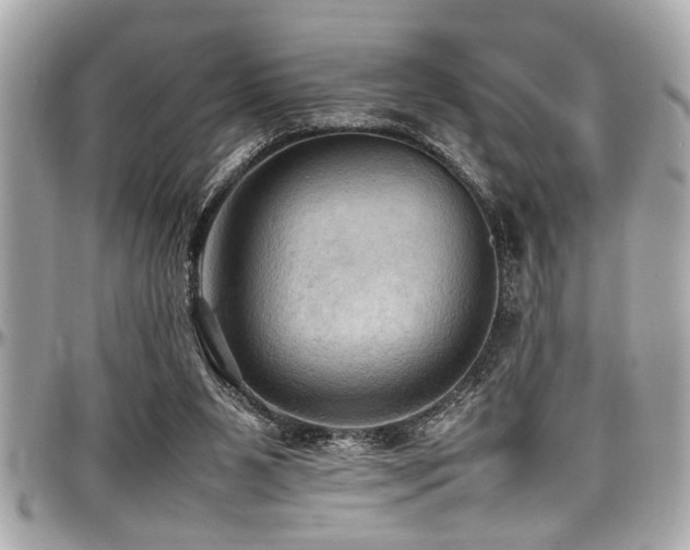 X0000098000111200803241350