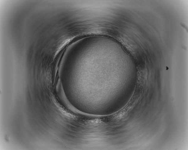 X0000098000112200803241350