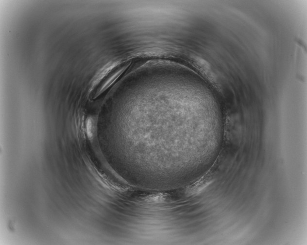 X0000098000116200803241350