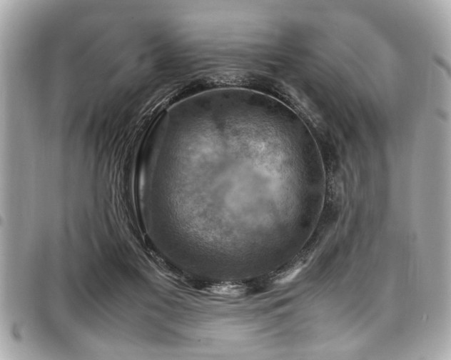 X0000098000117200803241350