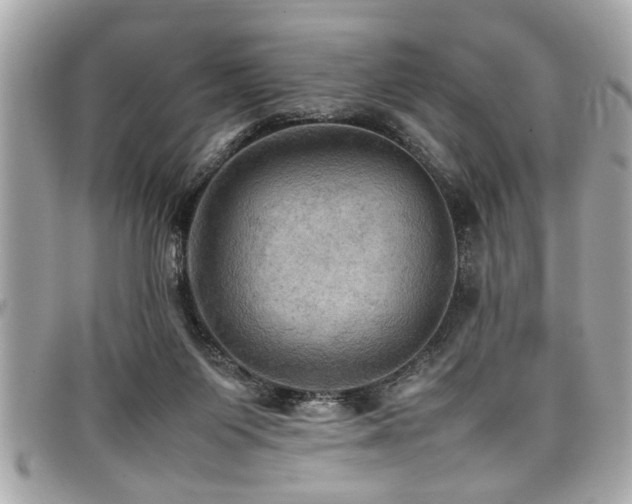 X0000098000119200803241350