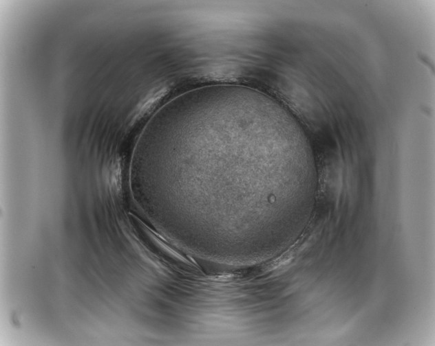 X0000098000120200803241350