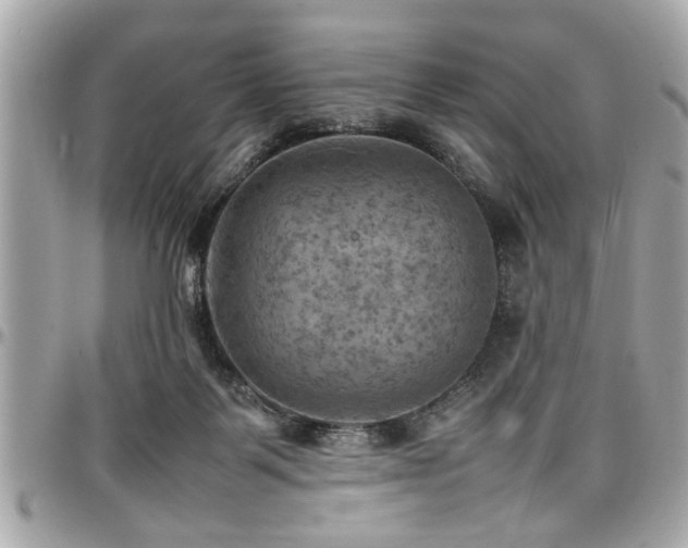 X0000098000123200803241350