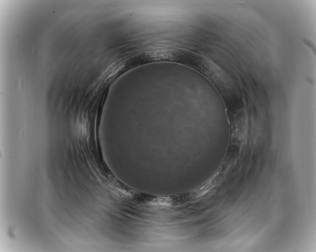 X0000098000124200803241350