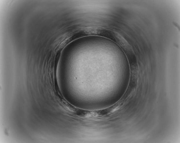 X0000098000125200803241350