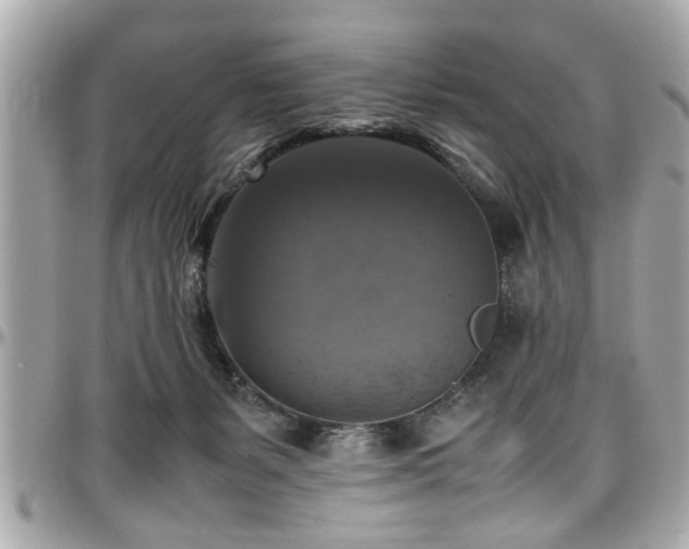X0000098000127200803241350