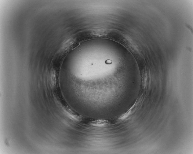 X0000098000128200803241350