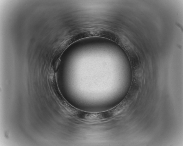 X0000098000129200803241350