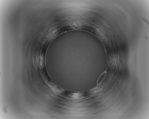 X0000098000130200803241350