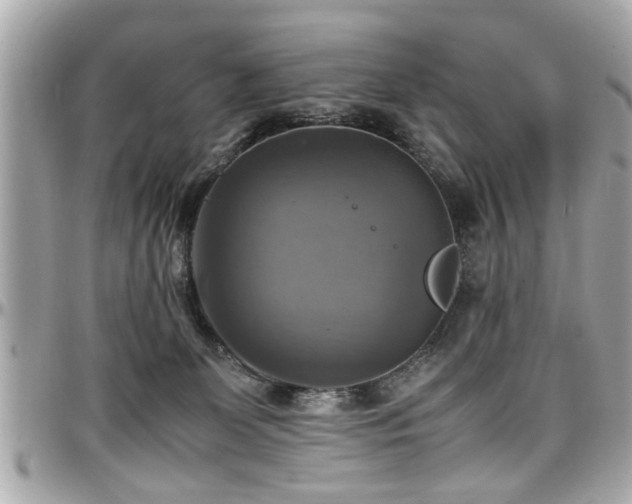 X0000098000131200803241350