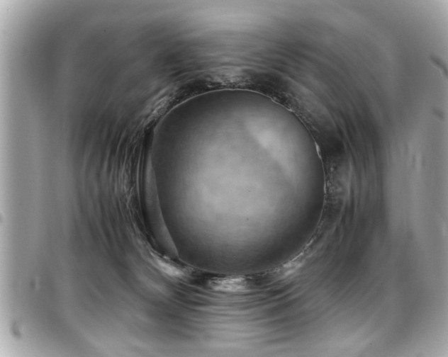 X0000098000132200803241350