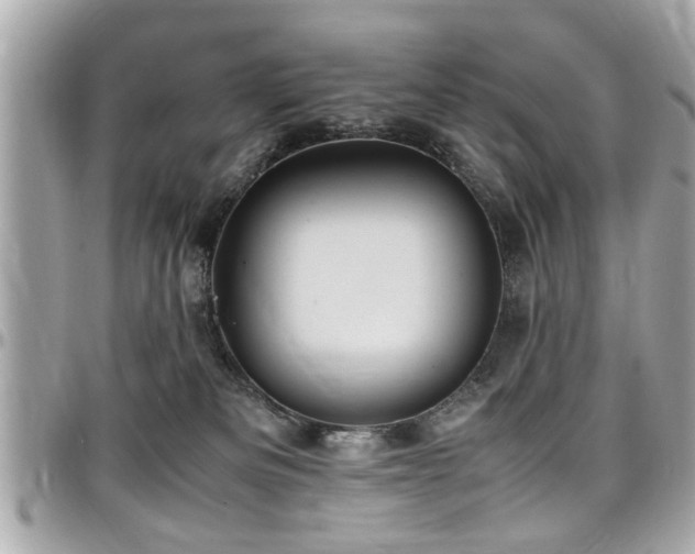 X0000098000133200803241350