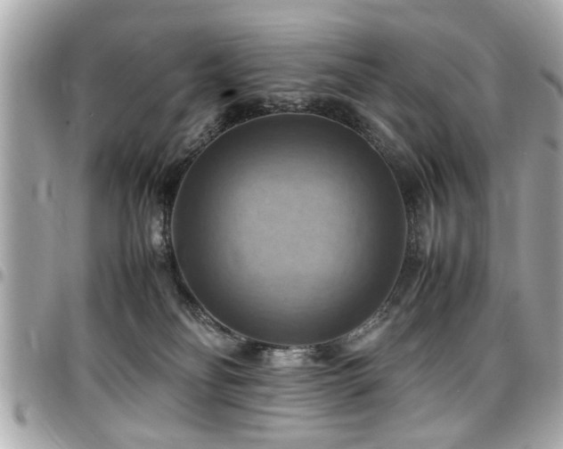 X0000098000134200803241350