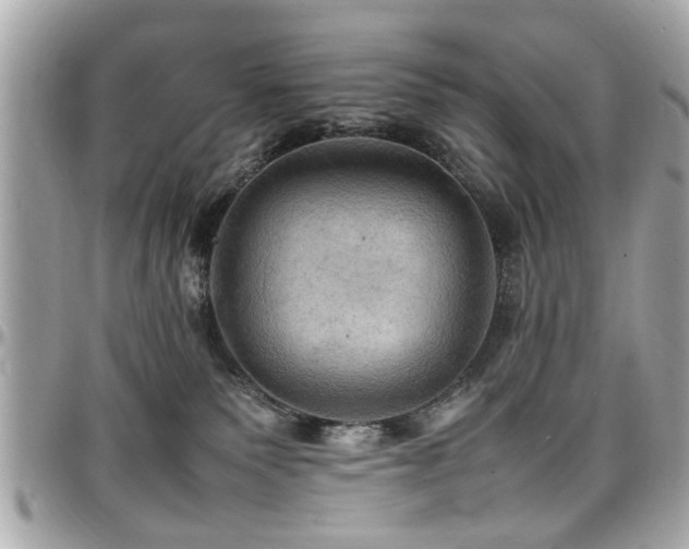 X0000098000135200803241350