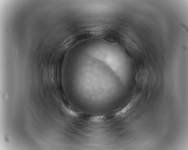 X0000098000136200803241350