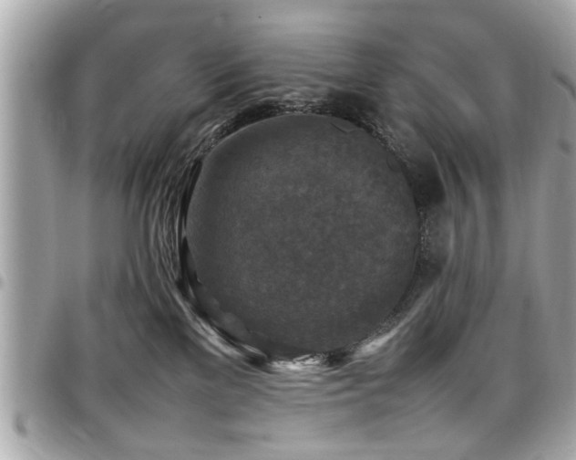X0000098000137200803241350