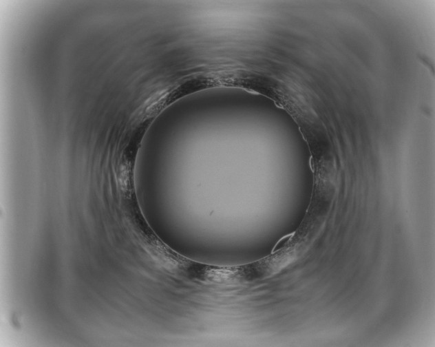 X0000098000139200803241350