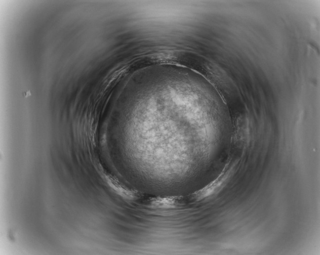 X0000098000140200803241350