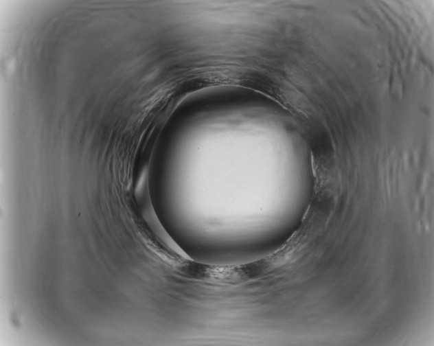 X0000098000141200803241350