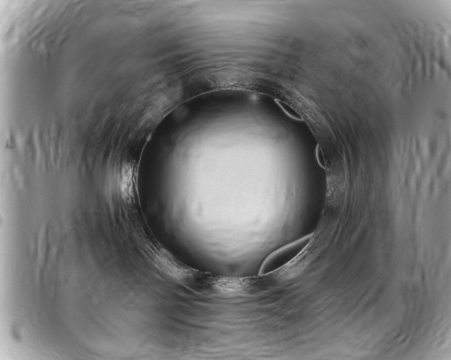 X0000098000142200803241350
