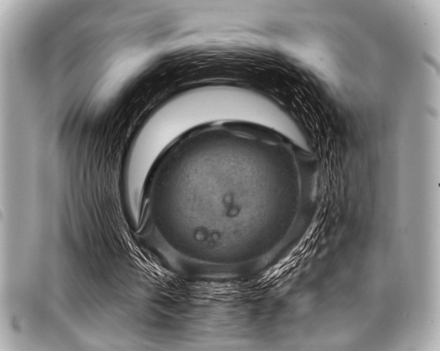 X0000098000146200803241349