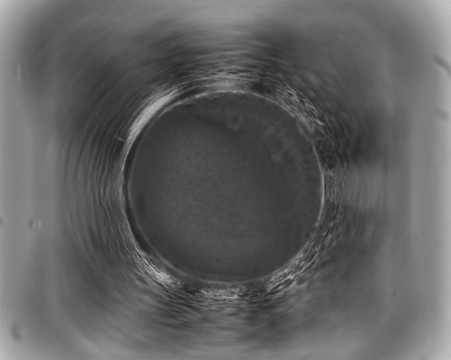 X0000098000147200803241349
