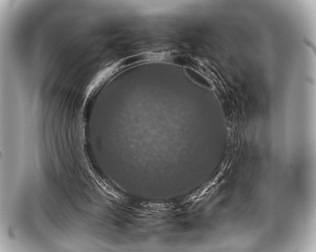 X0000098000149200803241349