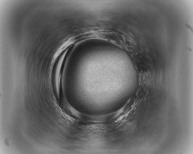 X0000098000150200803241349