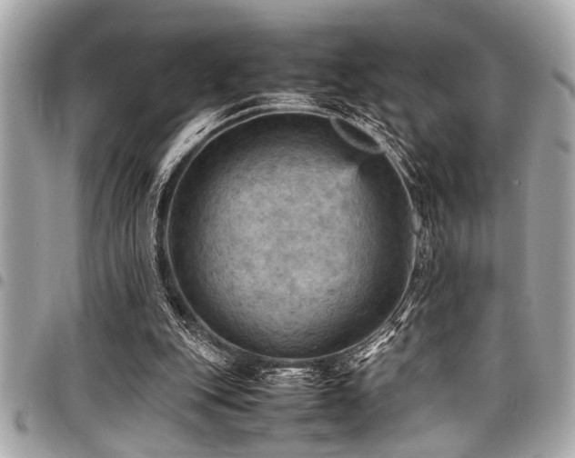 X0000098000151200803241349