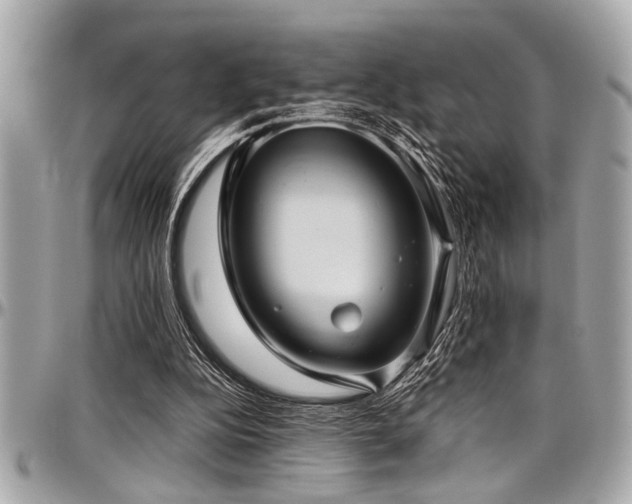 X0000098000152200803241349
