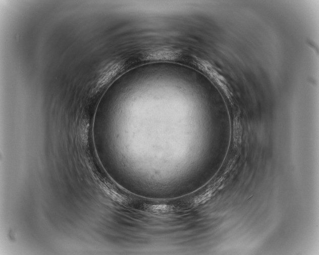 X0000098000153200803241349