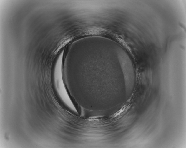 X0000098000154200803241349