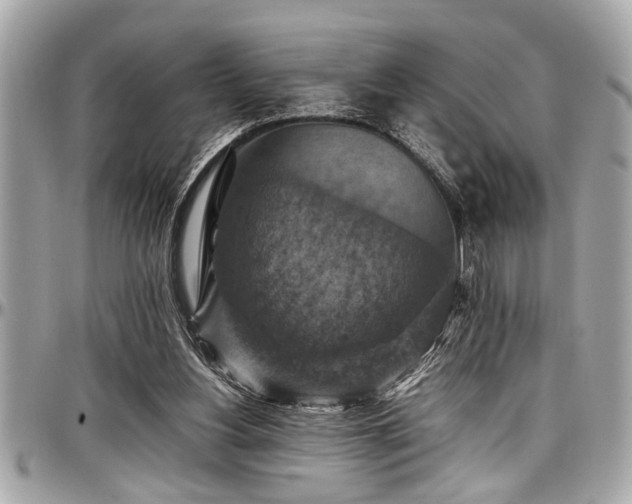 X0000098000156200803241349