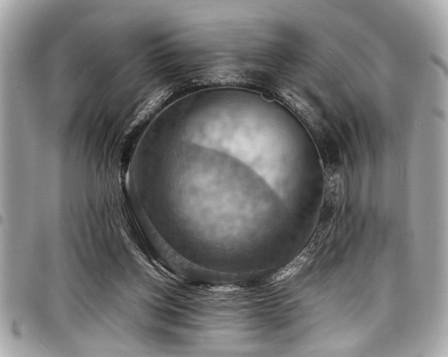 X0000098000158200803241349