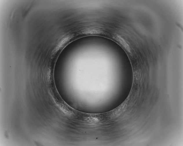 X0000098000159200803241349