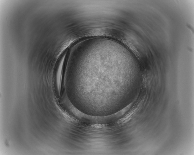 X0000098000160200803241350