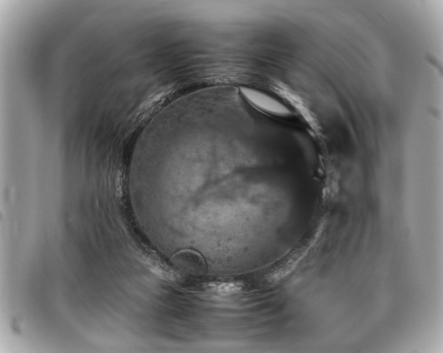 X0000098000161200803241350