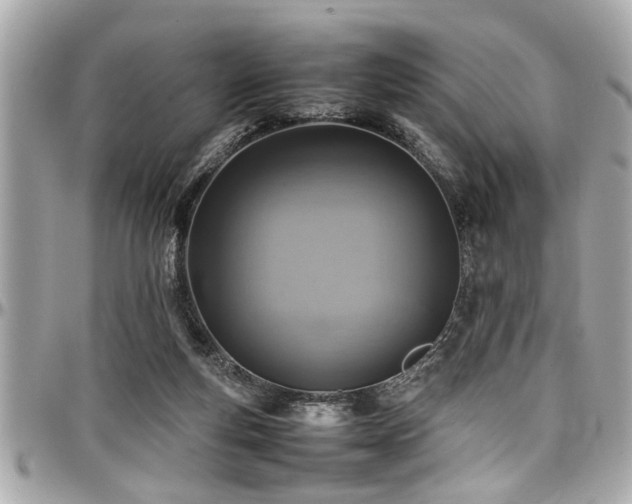 X0000098000163200803241350