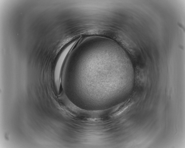 X0000098000164200803241350