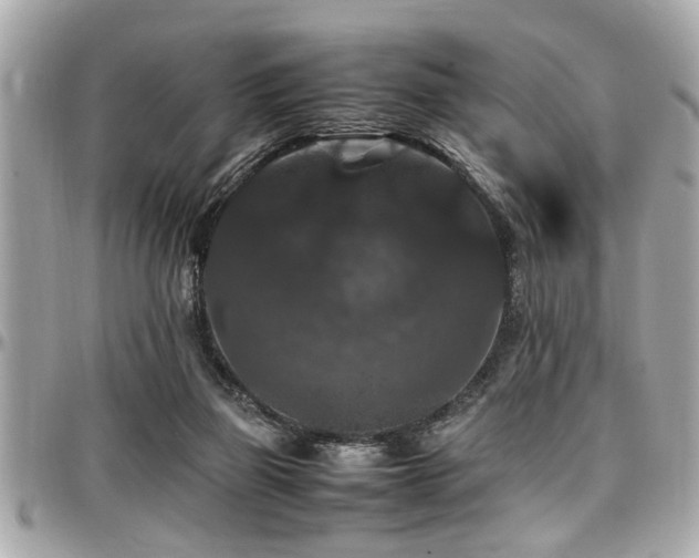 X0000098000165200803241350